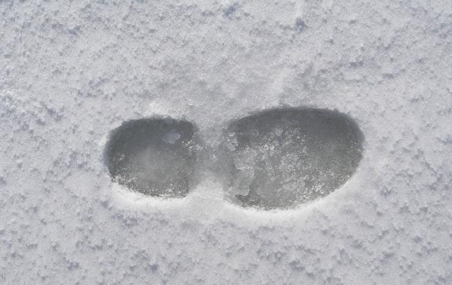 Итоги дня: 14 апреля