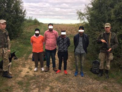 В Закарпатской области пограничники задержали 4 граждан Индии
