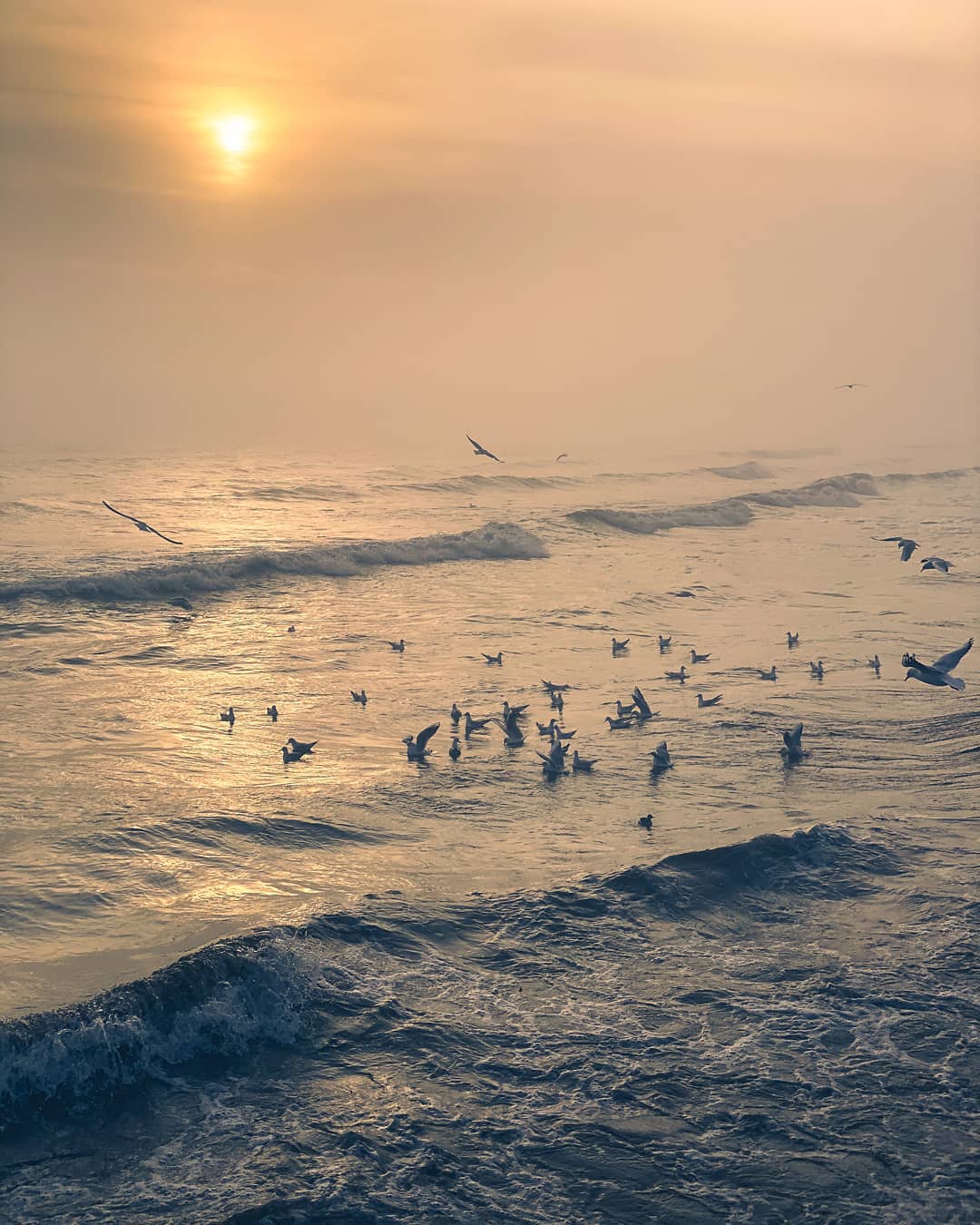 Украина получила официальную страницу в Instagram: что там публикуют (фото)