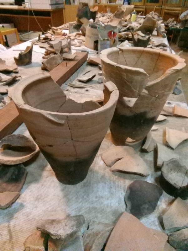 В древнейшем замке Украины обнаружили тайный подвал: нашли настоящий клад (фото)