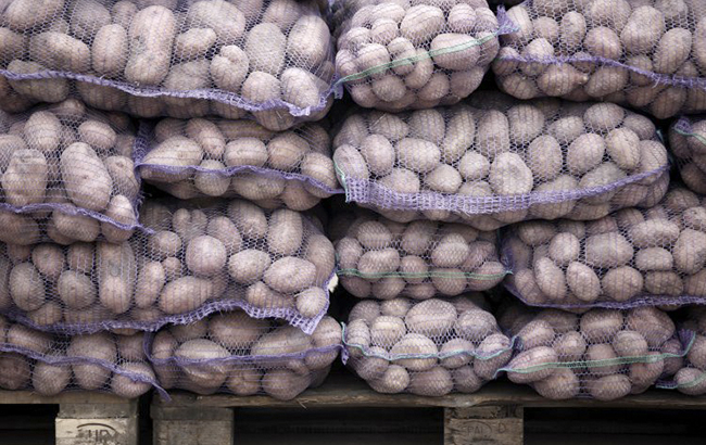 Українців очікує чергове подорожчання продуктів: що буде з цінами взимку