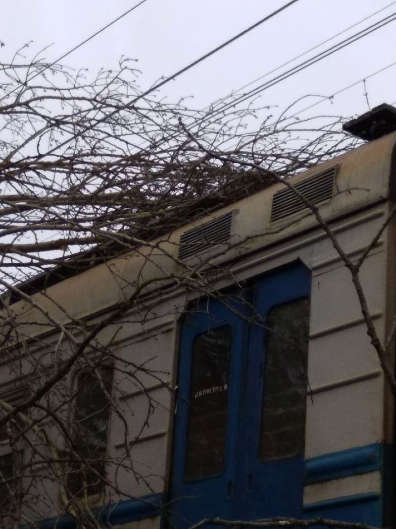 Во Львове бушует ураган: разрушены железнодорожные пути, повалены деревья