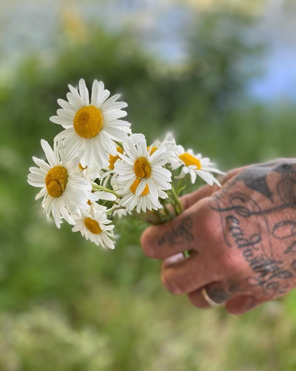 Идеальная пара: Виктория Бекхэм умилила романтичным фото с любимым мужем