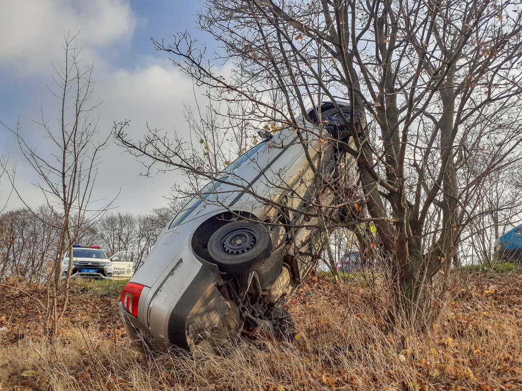 Под Днепром после ДТП авто повисло на дереве: фото и видео инцидента