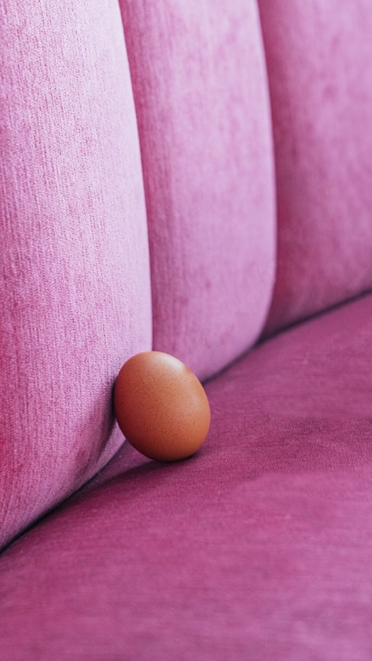 Яйцо-рекордсмен