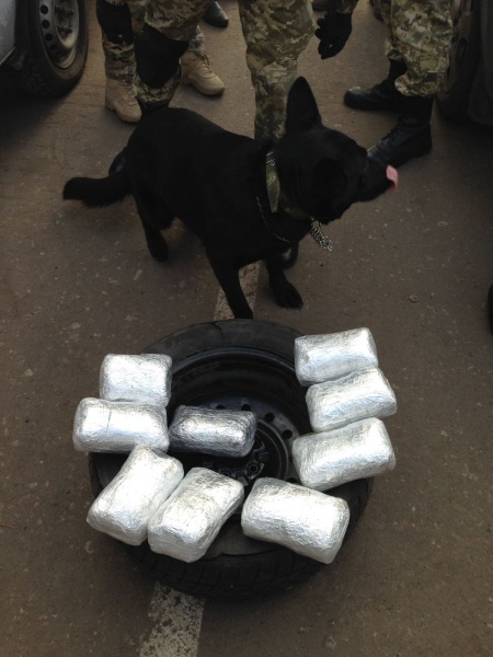 Украинец пытался провезти через КПВВ 7 кг марихуаны в запаске автомобиля