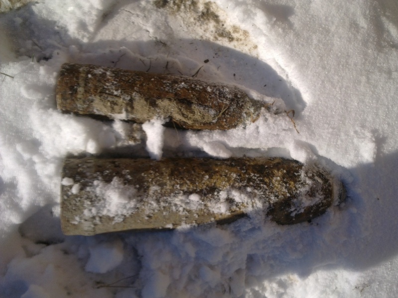 ДСНС з початку року знешкодила 76 тис. вибухонебезпечних предметів