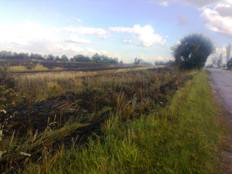 В Житомирской области выгорело 21 га пшеницы