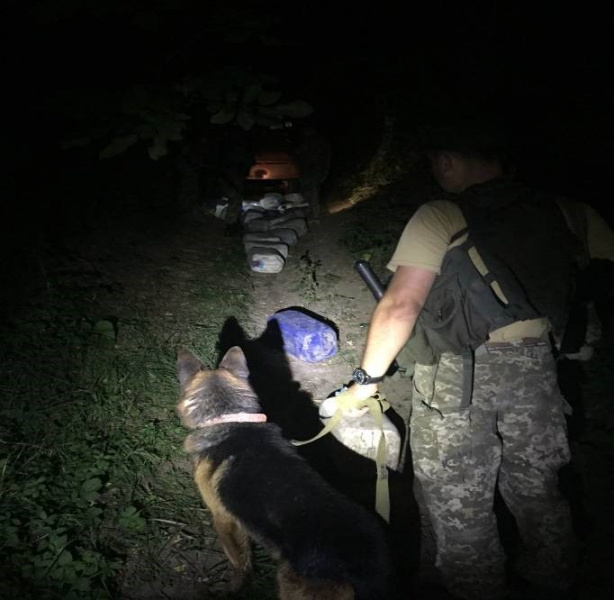 На кордоні з Молдовою прикордонники завадили контрабанді понад тони спирту