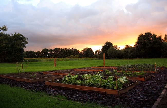 18 мая - народный праздник Арины Рассадницы