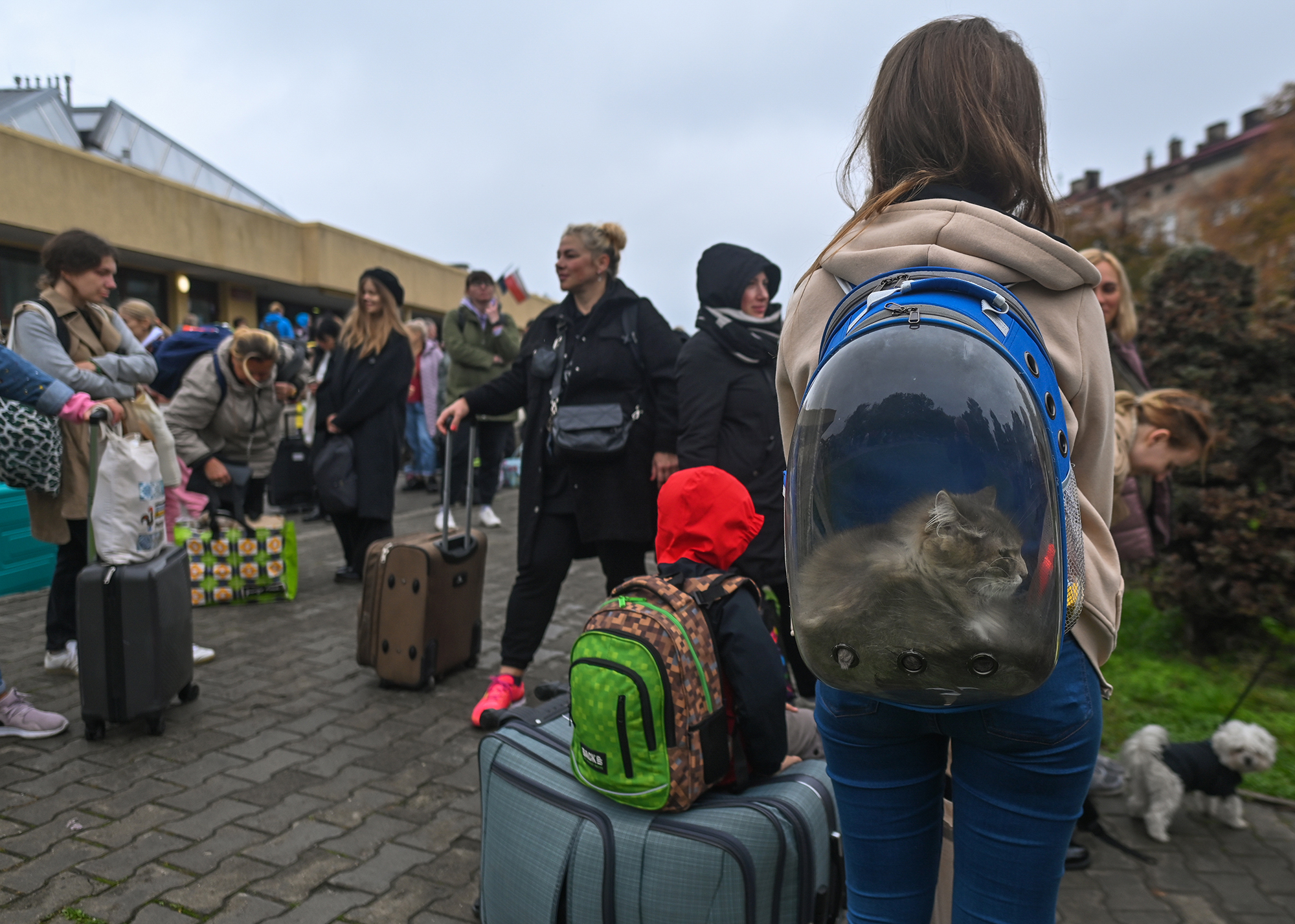 Сколько времени украинцы планируют оставаться в Польше: опрос