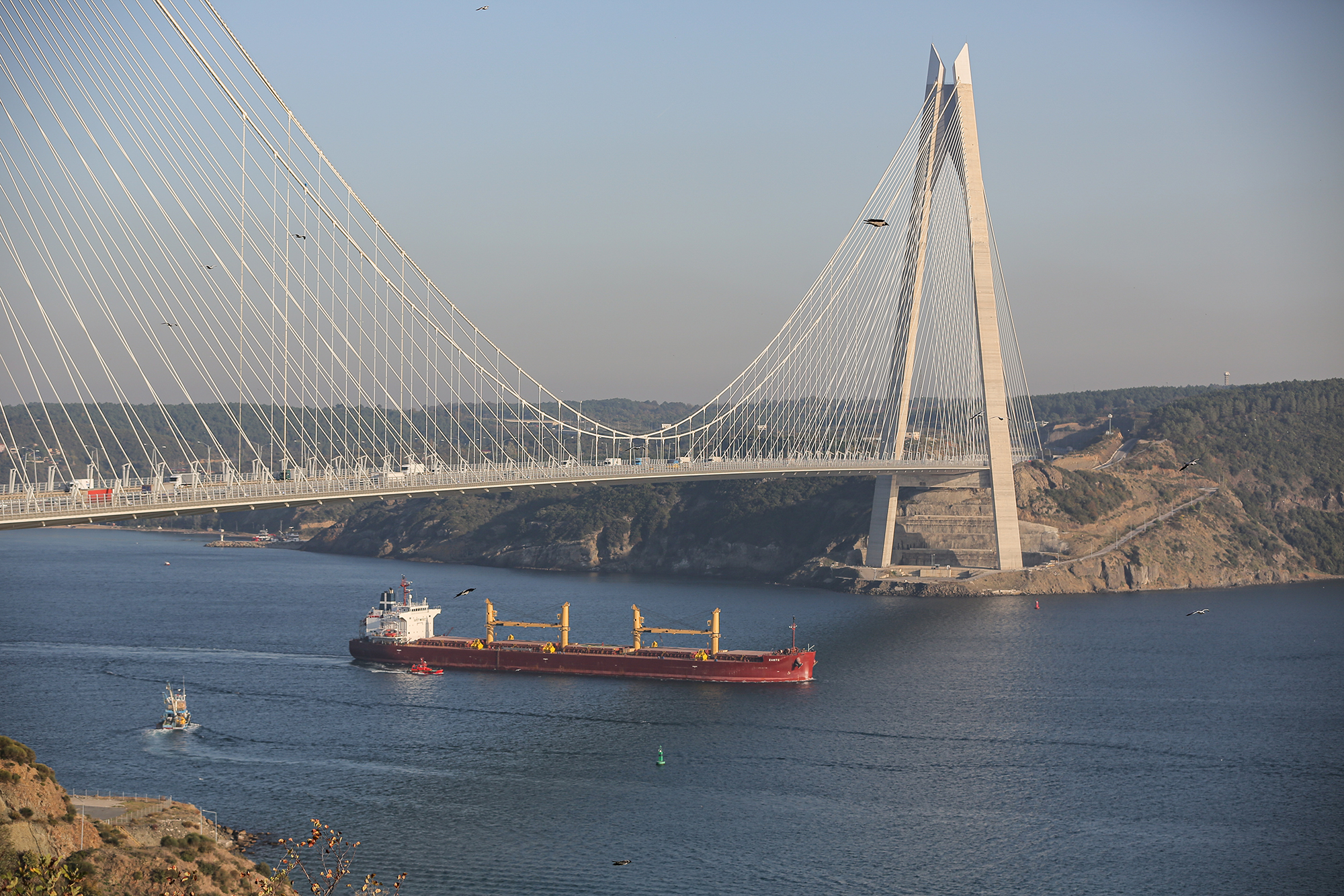 Ambassador Vasyl Bodnar: Türkiye continues to be active mediator between Ukraine and Russia