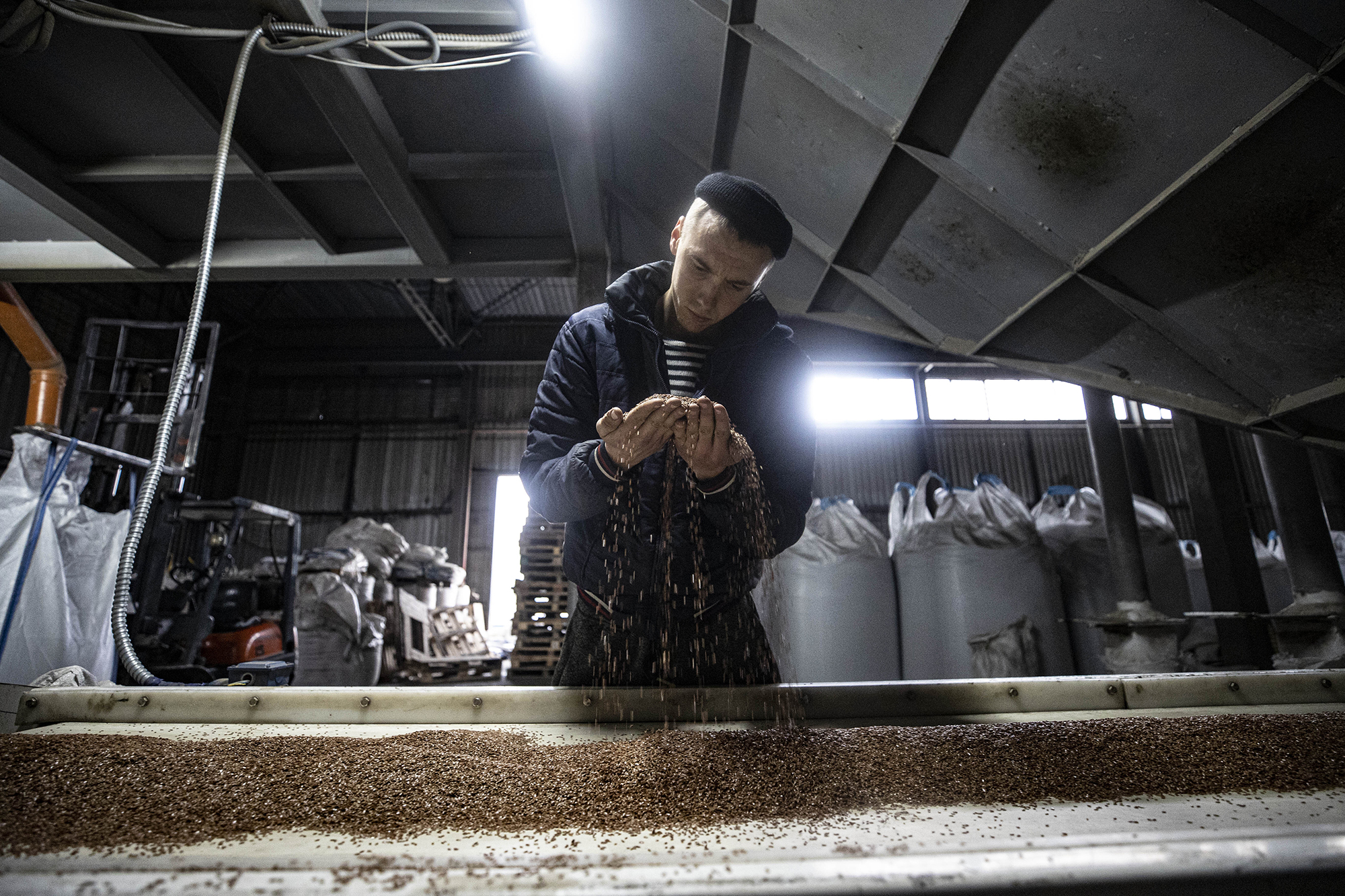 Ukrainian Navy spokesperson: A third of Russian Black Sea Fleet already out of commission