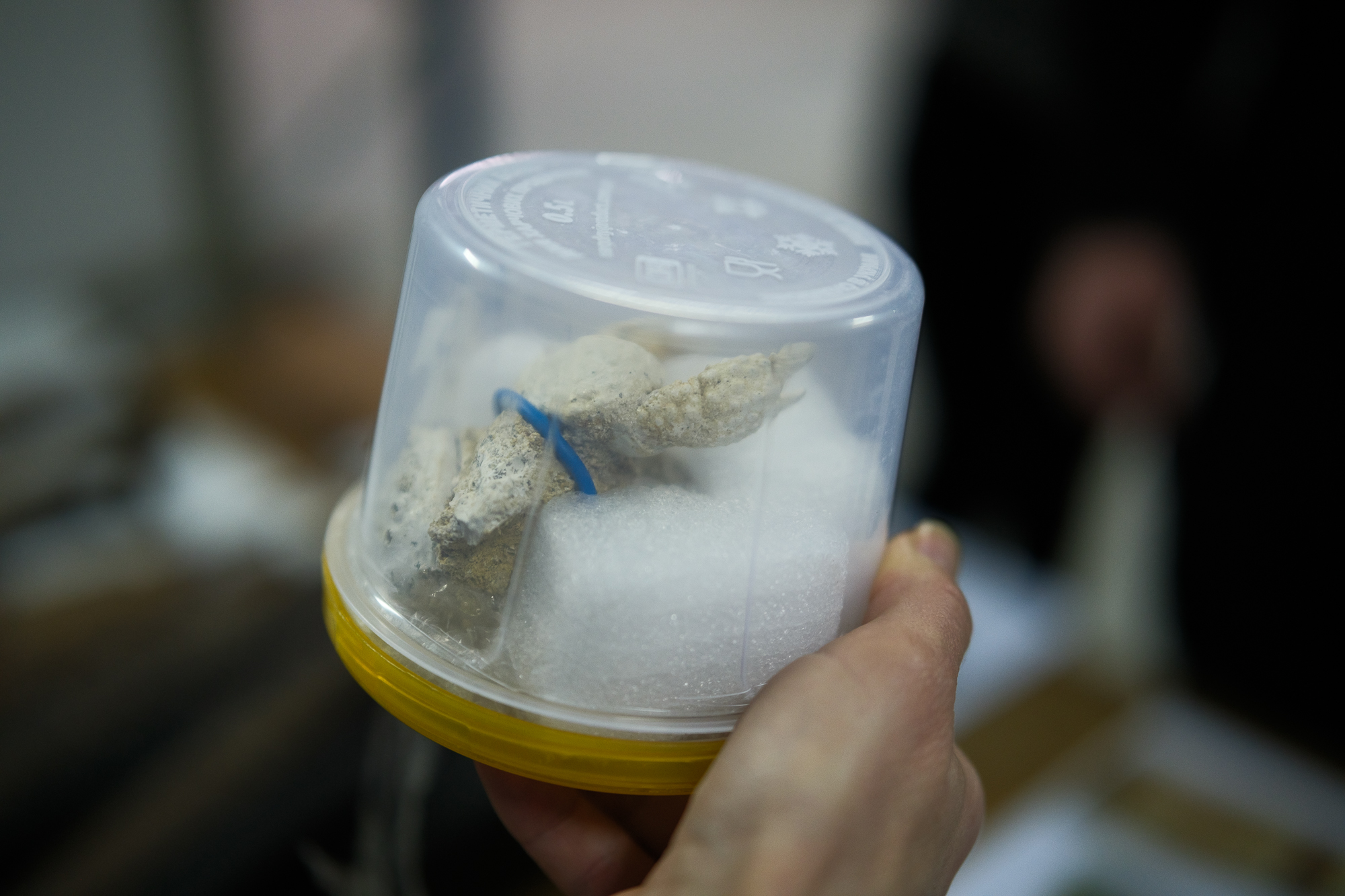 Монети Русі, ікони та трипільські вази. Хто і як вивозить з України національну спадщину