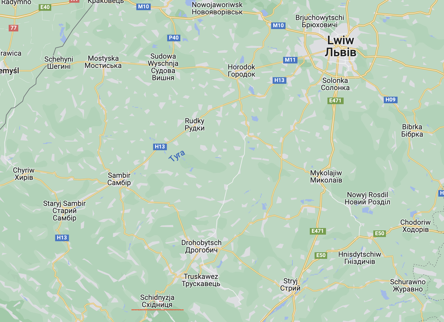 Во Львовской области из-за непогоды затопило поселок Сходница