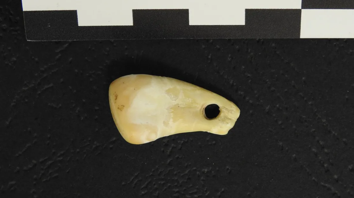 6 історичних таємниць, які вчені нарешті розкрили у 2023 році, а одну так і не змогли