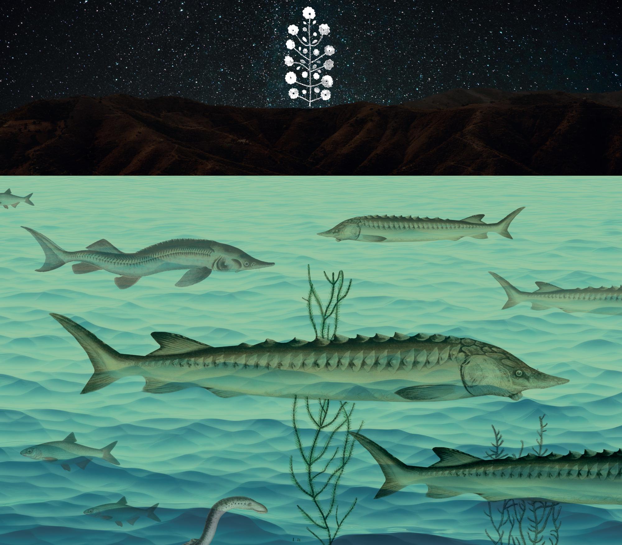 &quot;До своєї природи&quot;: у Києві відкрилась виставка з любов'ю до української спадщини