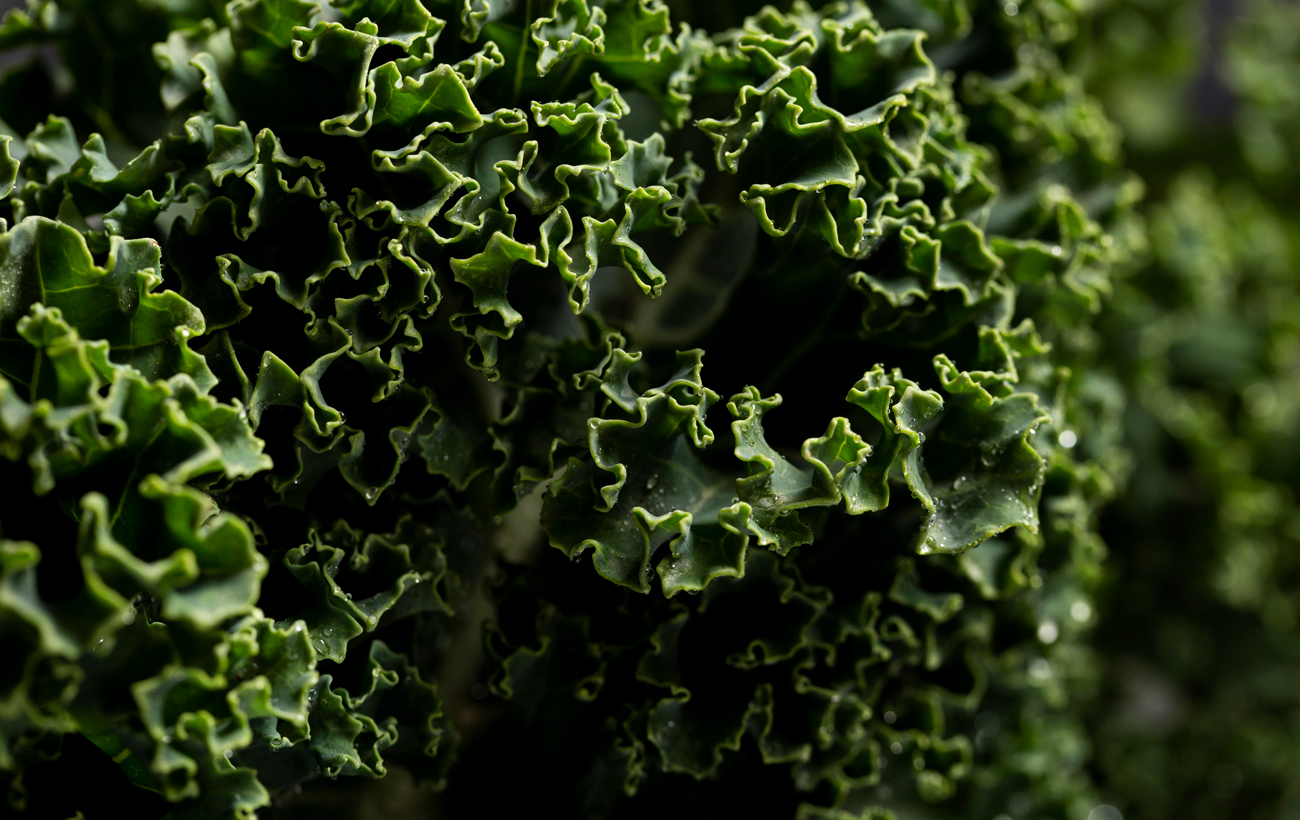 Експерт назвала найкориснішу капусту, яку потрібно їсти всім