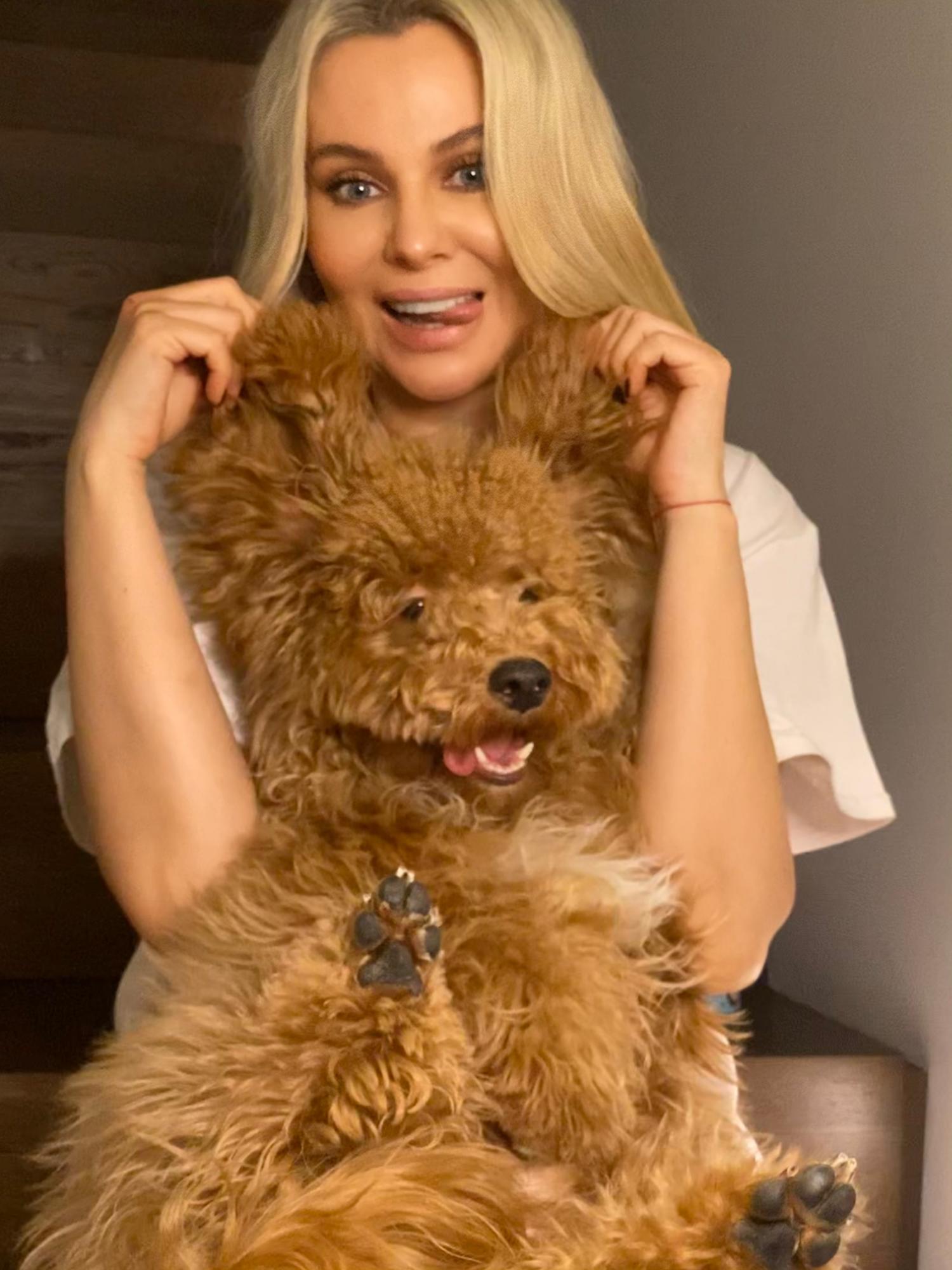 Українські зірки похвалилися своїми улюбленцями: сліпа кішка Буля і відразу 7 собак!