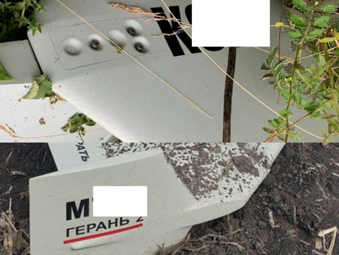 РФ почала виробляти &quot;шахеди&quot; для ударів по Україні: у чому їх відмінність