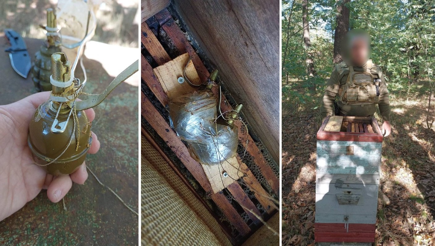 Под Киевом пчелы сами &quot;разминировали&quot; улей, заминированный россиянами (фото)
