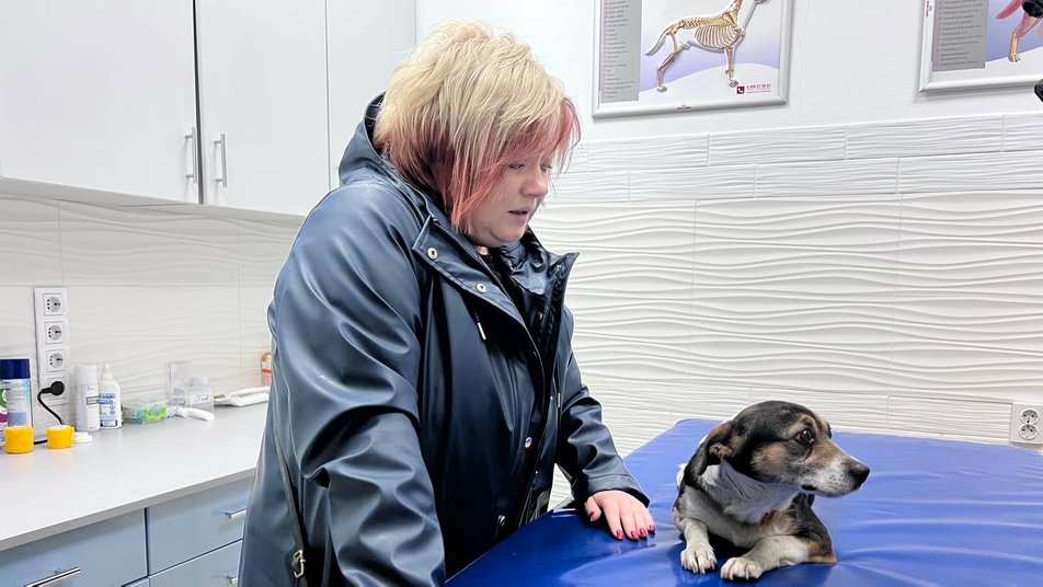 &quot;За нею стоїть черга&quot;: в якому стані собака Ельза, яка лежала на руїнах будинку