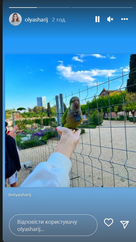 &quot;Только он один, паскуда, знает&quot;: жінка Шарія відреагувала на його арешт блатною піснею (відео)