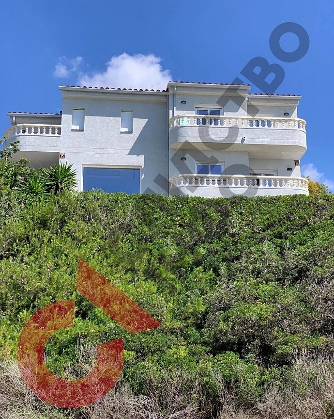 Шарія знайшли в Іспанії і попросили пояснень: Анатолій махав ногами і кидався на жінок