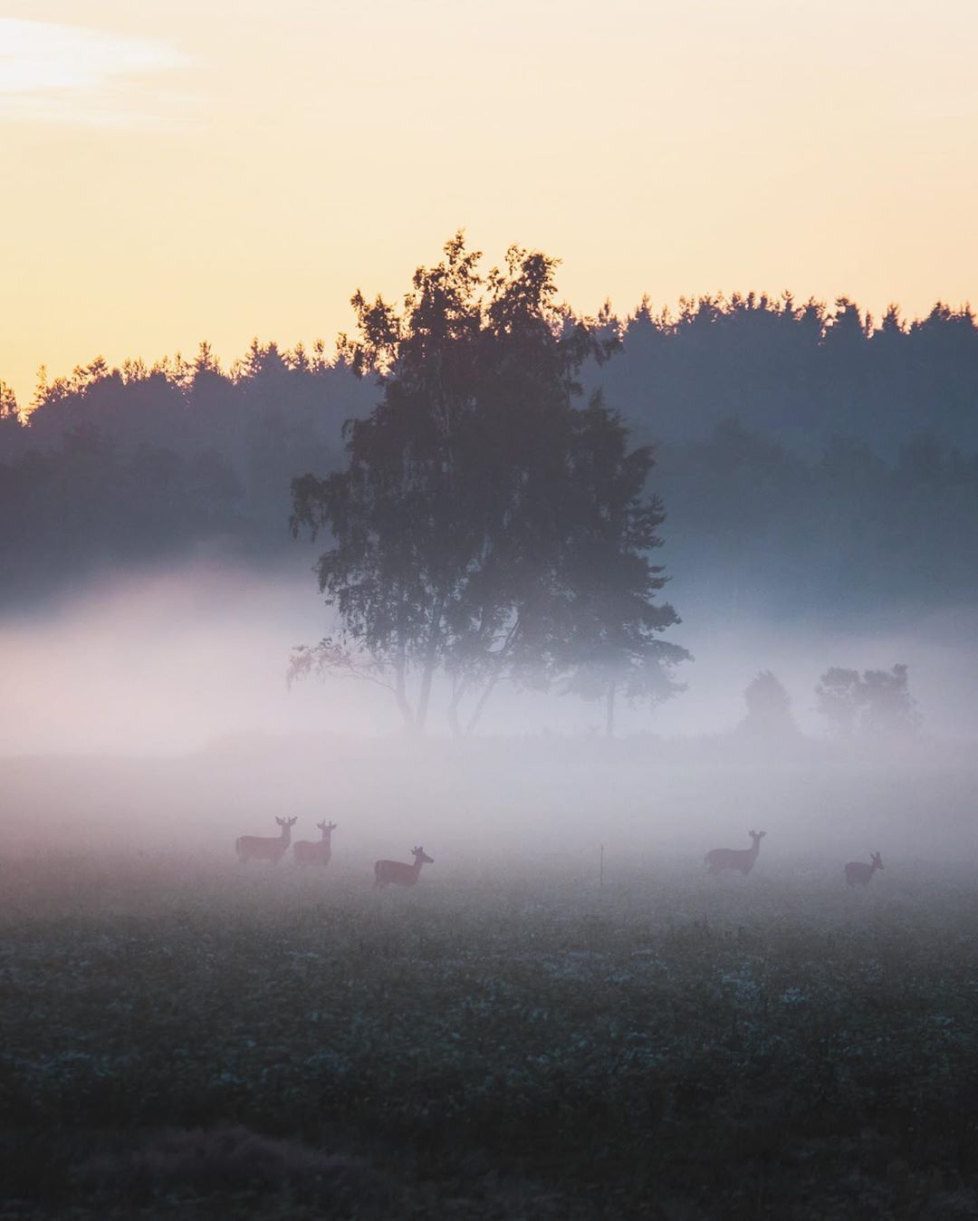 Показали, как выглядит самое сказочное место на Земле: фото, от которых перехватывает дух