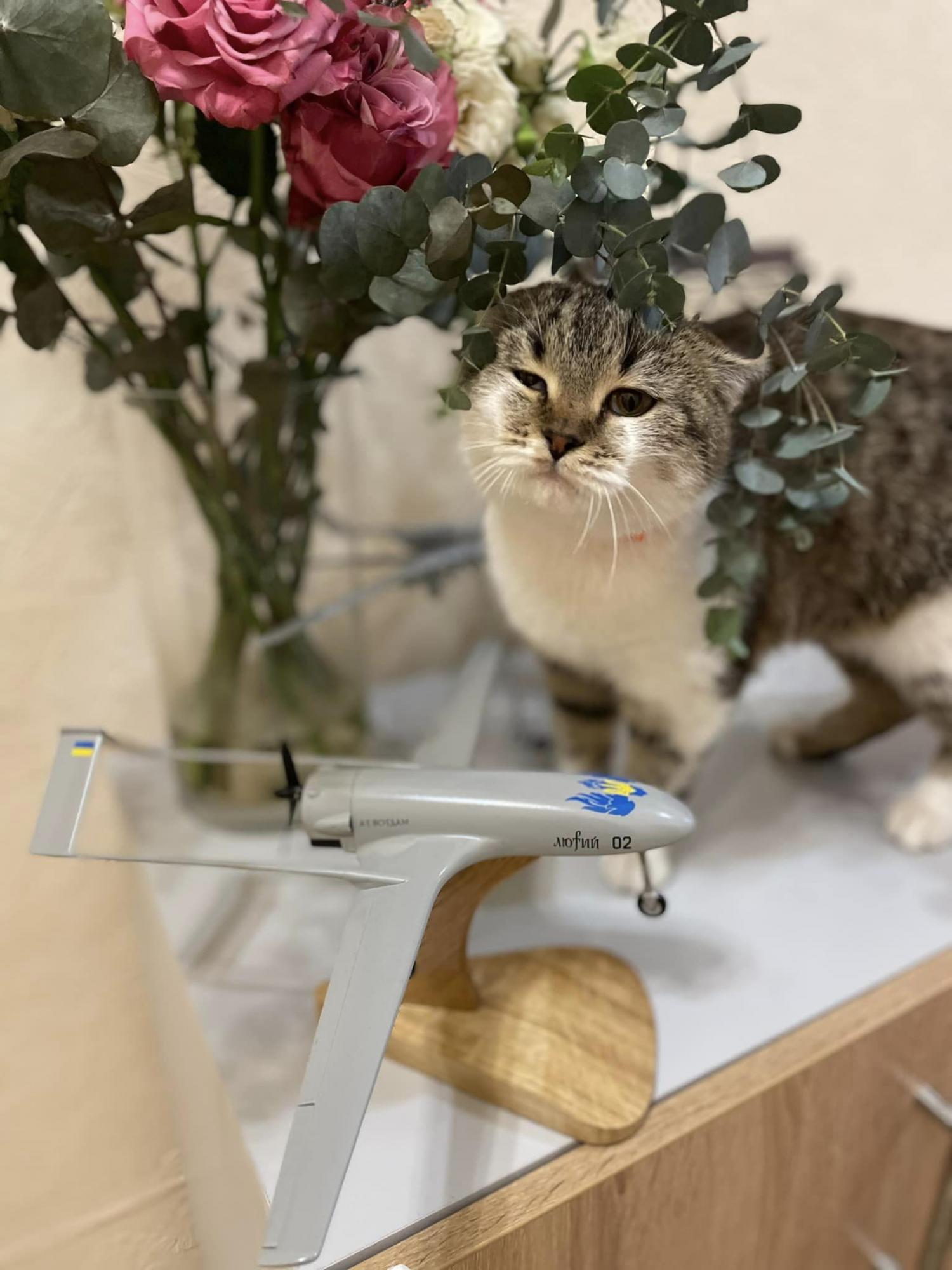 Что известно о секретном дроне, атаковавшем НПЗ в Рязани