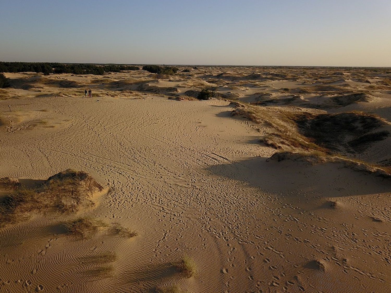 5 незвичайних природних явищ, які можна побачити тільки в Україні