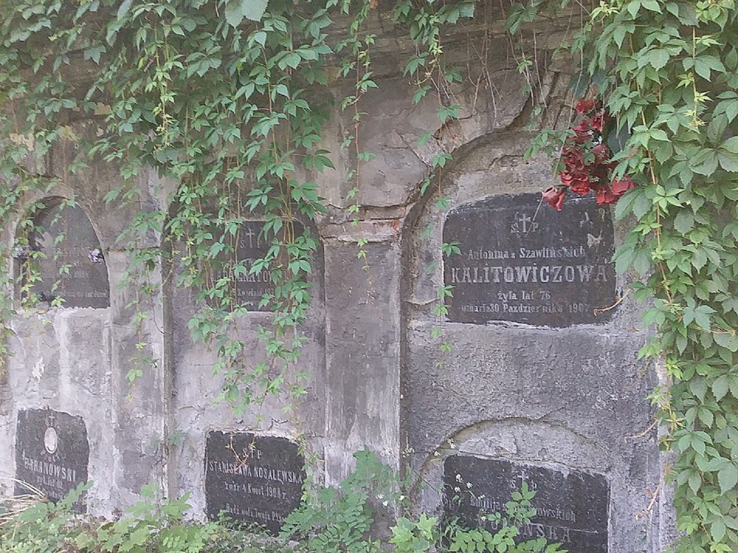 Посещаем мир мертвых. 5 самых интересных кладбищ Украины