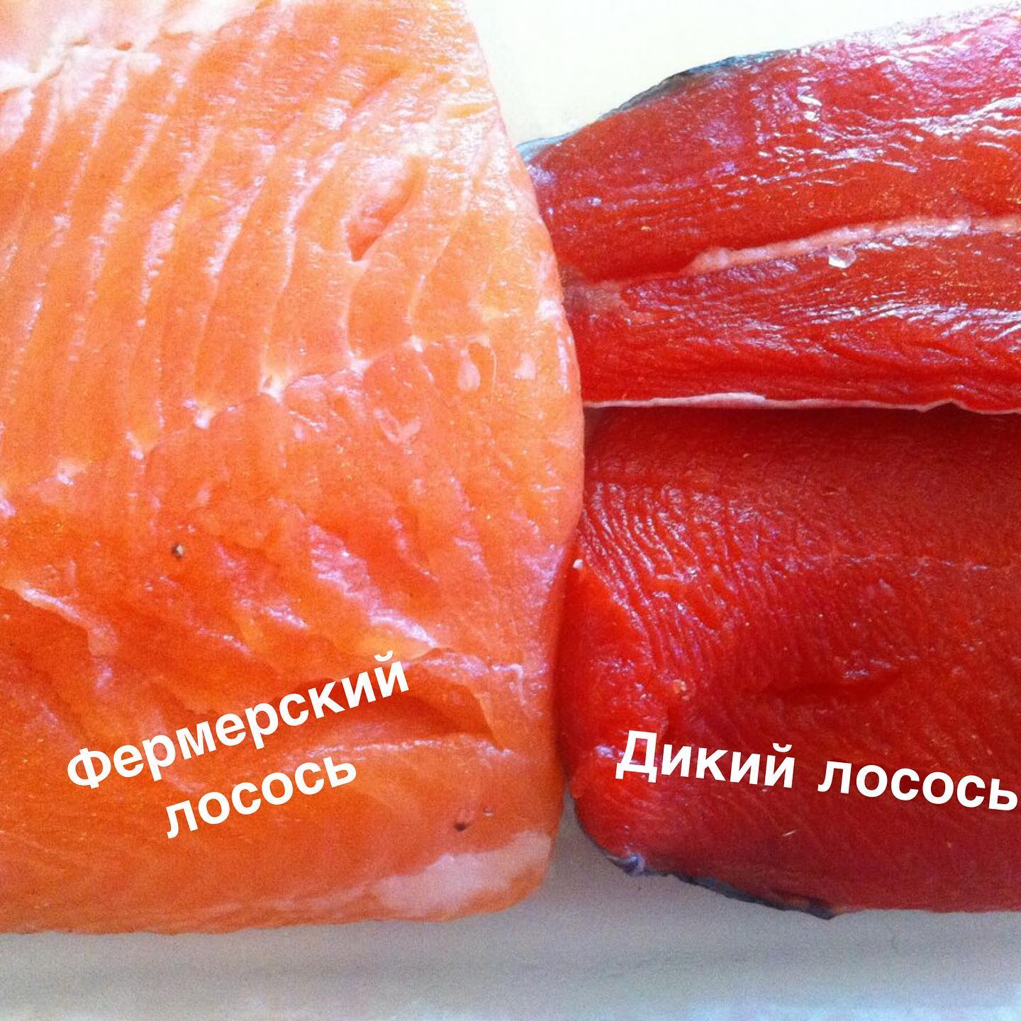 Яка риба небезпечна: ця інформація збереже вам здоров'я