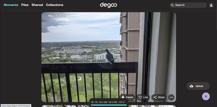 Не втрачайте свої спогади. 12 надійних та найкращих сервісів для безпечного зберігання ваших фотографій