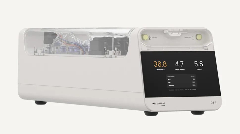 Minecraft на лампочці та грибні батареї: 11 найнезвичайніших і найвражаючих технологій 2025 року