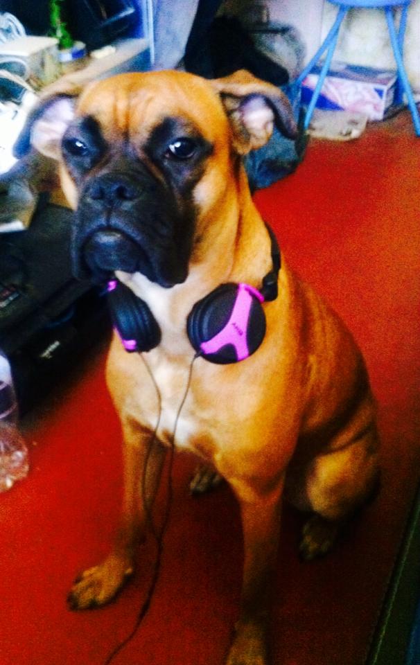 Помер відомий музикант, екс-учасник гурту &quot;Воплі Відоплясова&quot;