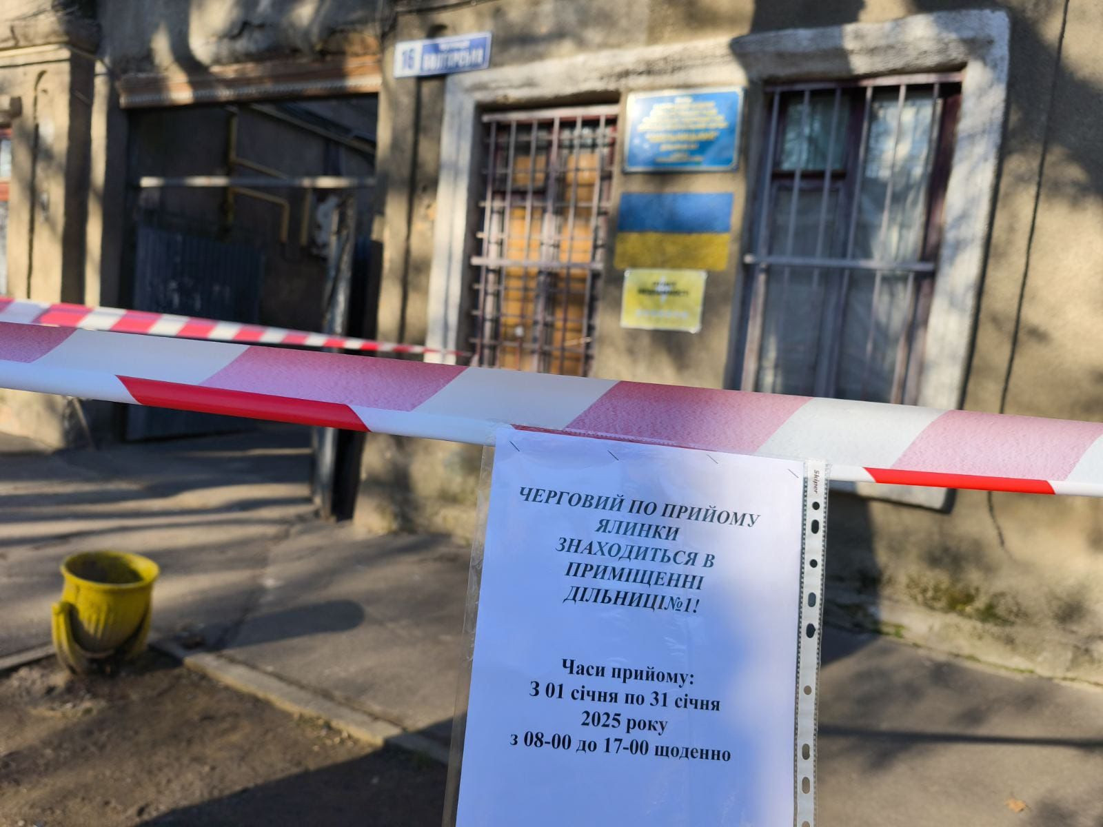 В Одессе заработали пункты приема елок: полный список адресов