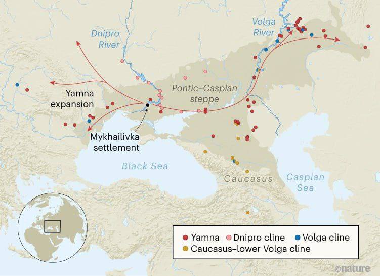 Половина людства походить від Ямної культури на території України? Вчені зробили сенсаційне відкриття