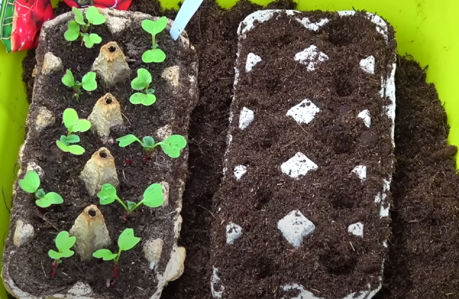 Не викидайте яєчні лотки: 6 способів, які &quot;зроблять революцію&quot; на городі