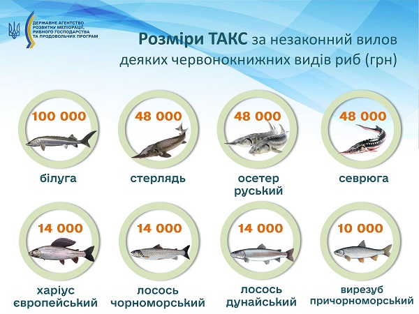 Какую рыбу можно ловить в мае, а какую - категорически запрещено