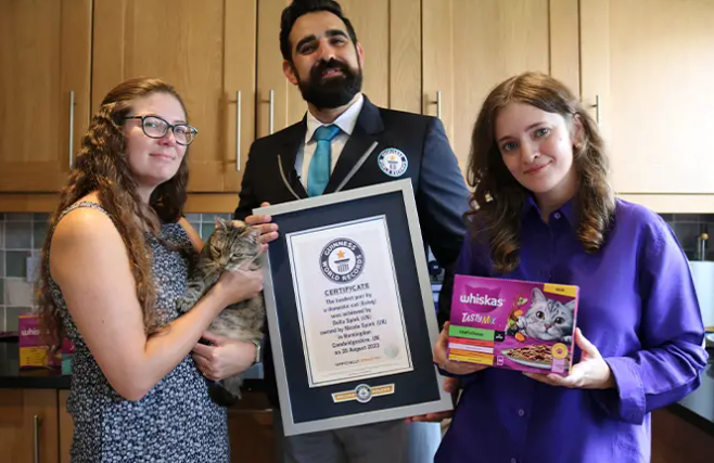 Перебивает звук даже телевизора: кошка установила рекорд по самому громкому в мире мурчанию