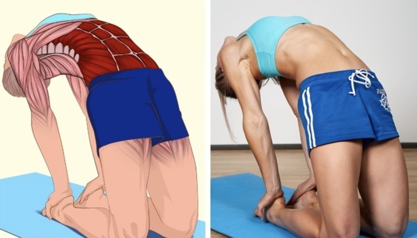 Як стати гнучкою, наче кішка. 5 простих вправ для розтяжки