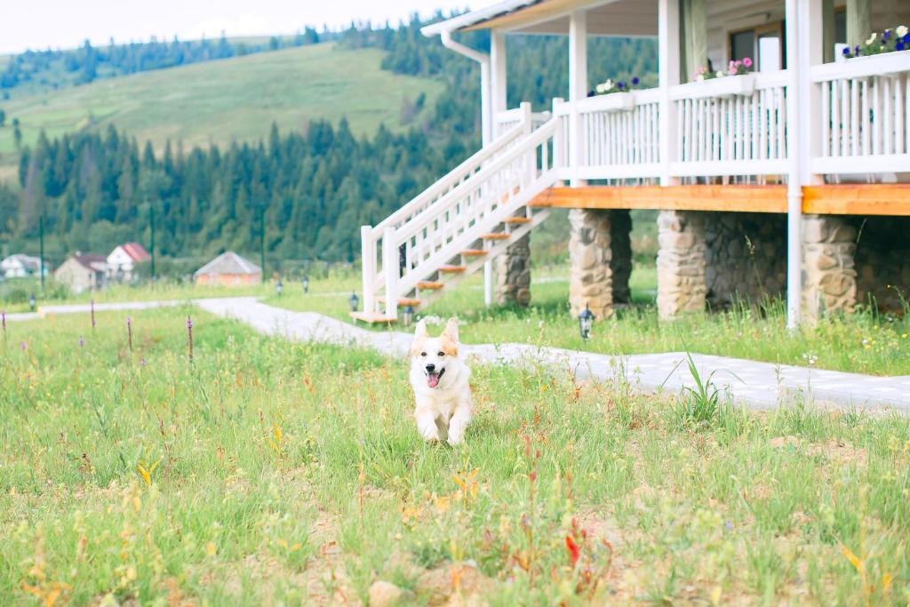 Идеальное время для отдыха в Карпатах: отели в Буковеле и Славском объявили большие скидки для гостей