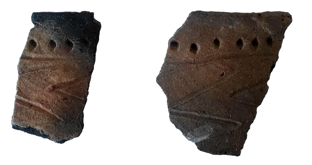 Під Полтавою знайшли скіфські артефакти та житло доби бронзи, якому 3300 років (фото)