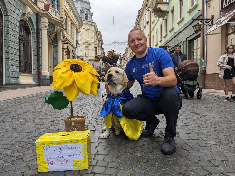 В Черновцах лабрадор помог собрать 30 тысяч гривен для ВСУ: фото четырехлапого волонтера