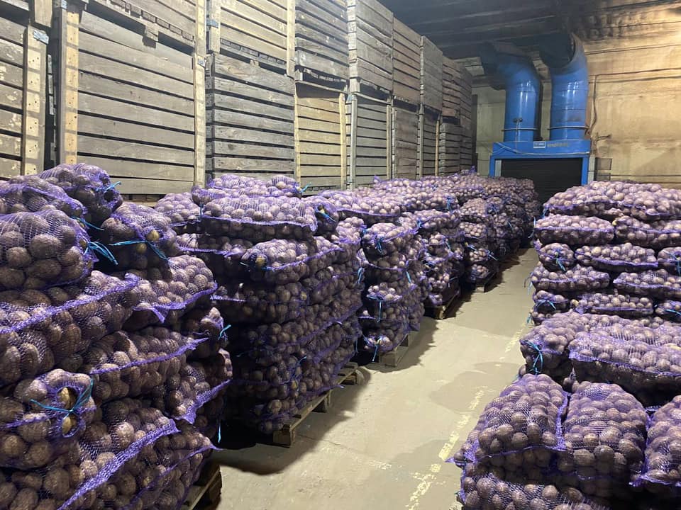 Коли треба копати картоплю, щоб вона точно долежала до весни: поради українцям