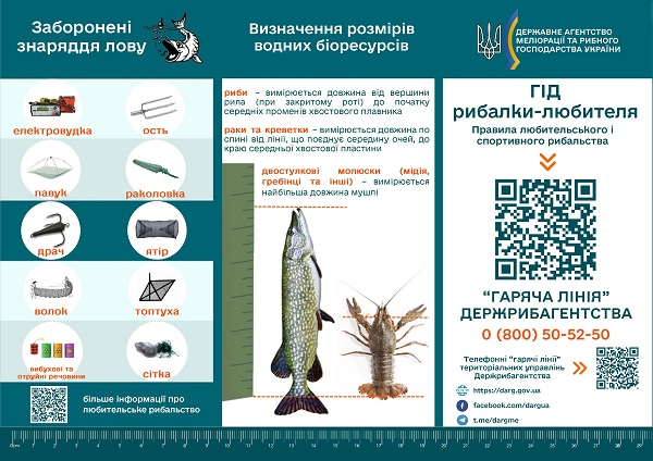 Можно серьезно влететь в копейку. Украинцам напомнили о распространенных зимних штрафах