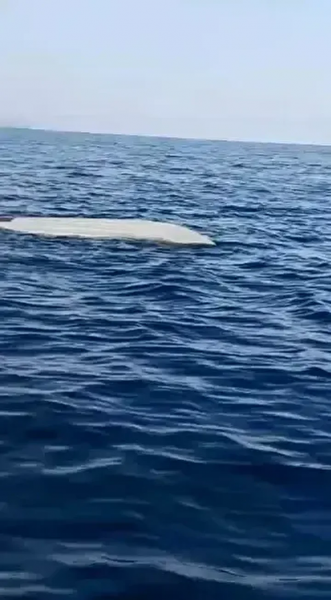 Sea drone discovered off the coast of Türkiye