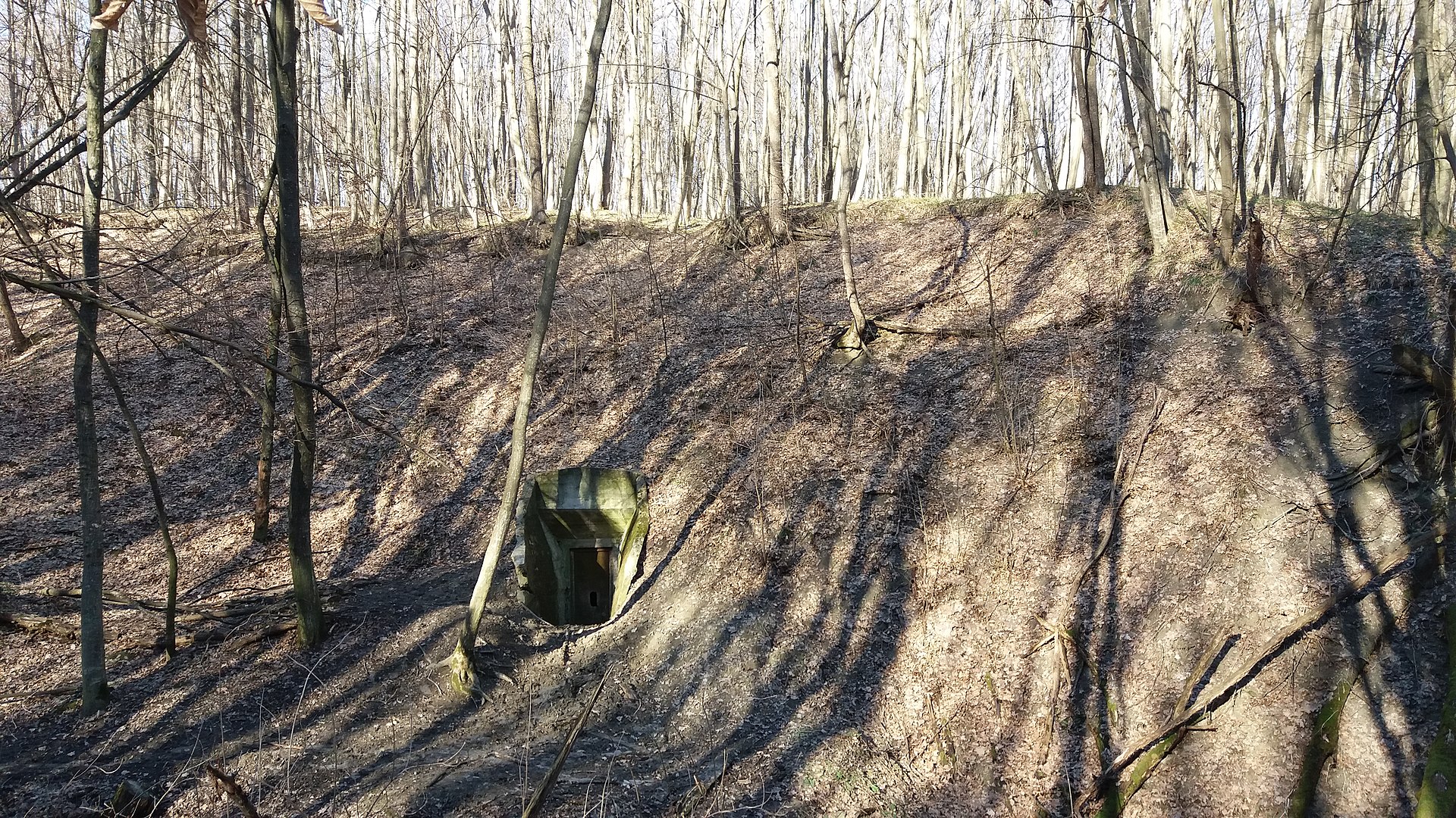 Seven undiscovered places in Ukraine that will blow your mind