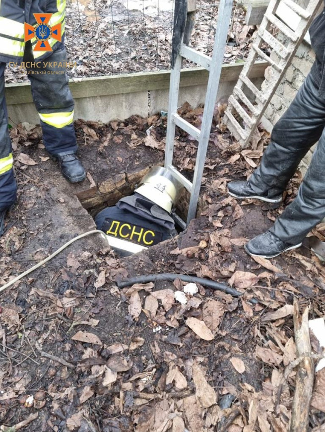 Испугался российских обстрелов: под Киевом спасали собаку, который упал в канализацию